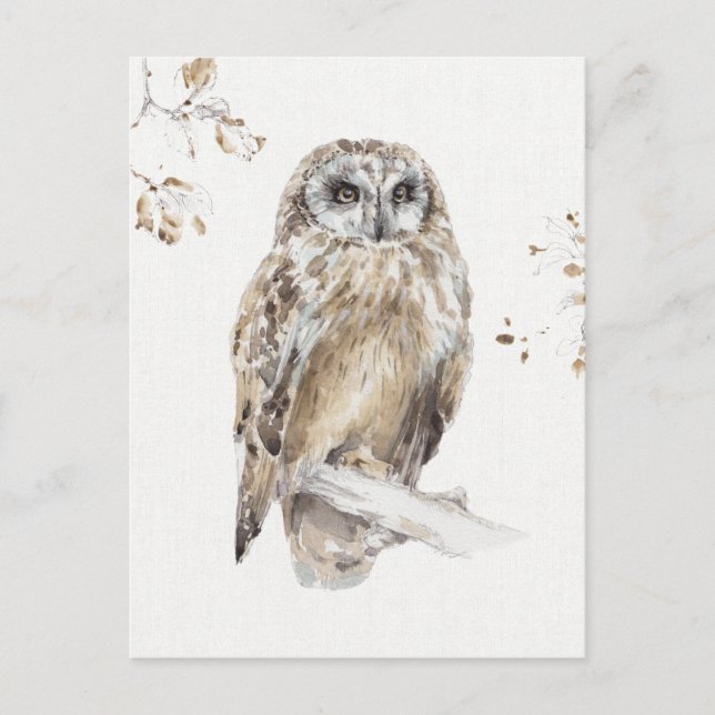 Postal Una caminata de bosques VIII (Anverso)