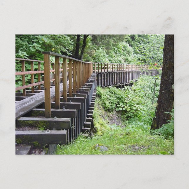 Postal Una caminata pacífica (Anverso)