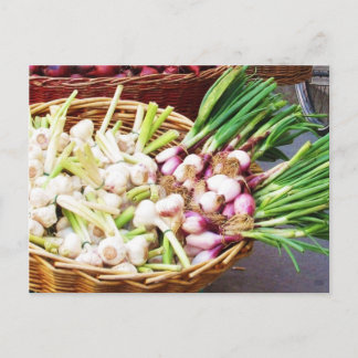 Postal Una canasta de GARLIC - Nápoles, Italia