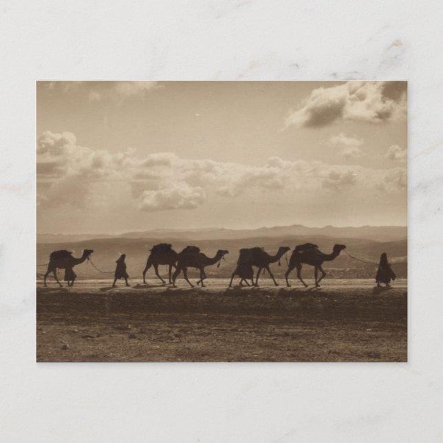 Postal Una caravana de camellos en la tierra santa (Anverso)