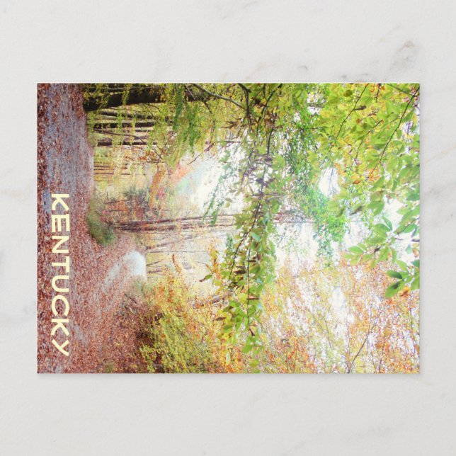 Postal Una carretera menos transitada por JerseyFawn (Anverso)