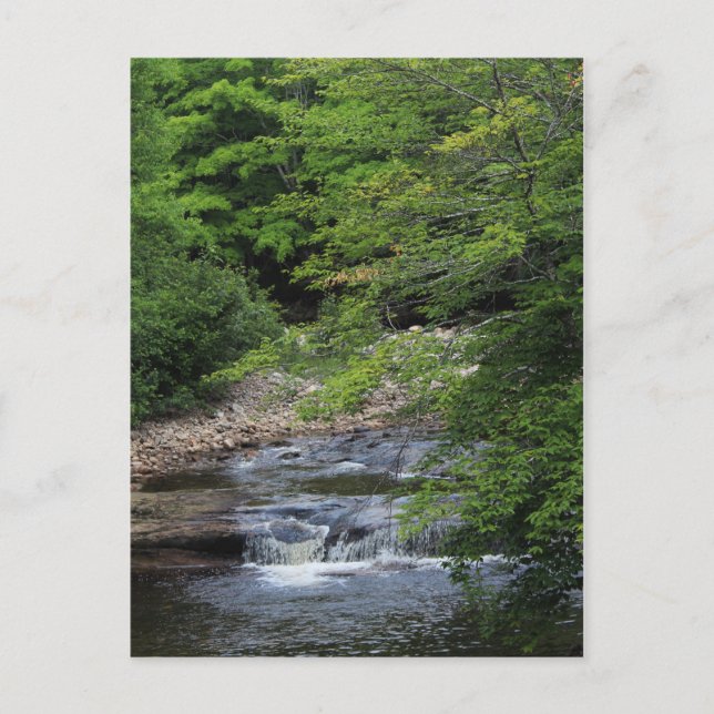 Postal Una cascada en miniatura (Anverso)