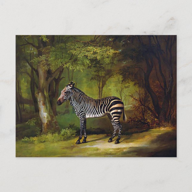 Postal Una cebra de George Stubbs (Anverso)