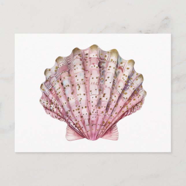Postal Una concha de invertebrado rosa (Anverso)