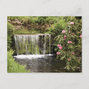 Postal Una Corriente Y Una Cascada En El Parque Nacional 
