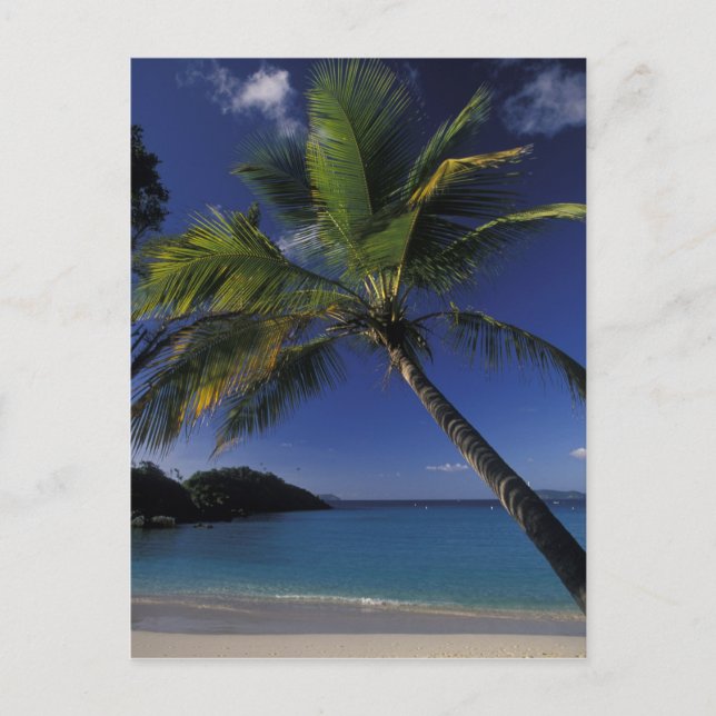 Postal Una de las mejores playas del mundo; Bahía del zor (Anverso)