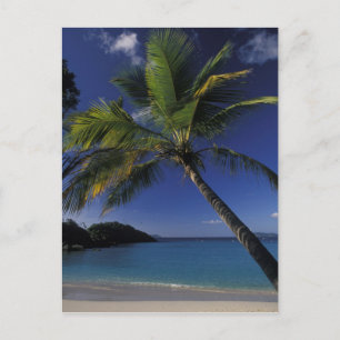 Postal Una de las mejores playas del mundo; Trunk Bay en