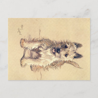 Postal Una Docena de perros o así Cecil Aldin Postcard