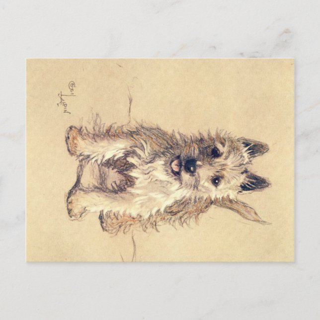 Postal Una Docena de perros o así Cecil Aldin Postcard (Anverso)