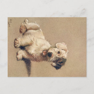Postal Una Docena de perros o así Cecil Aldin Postcard
