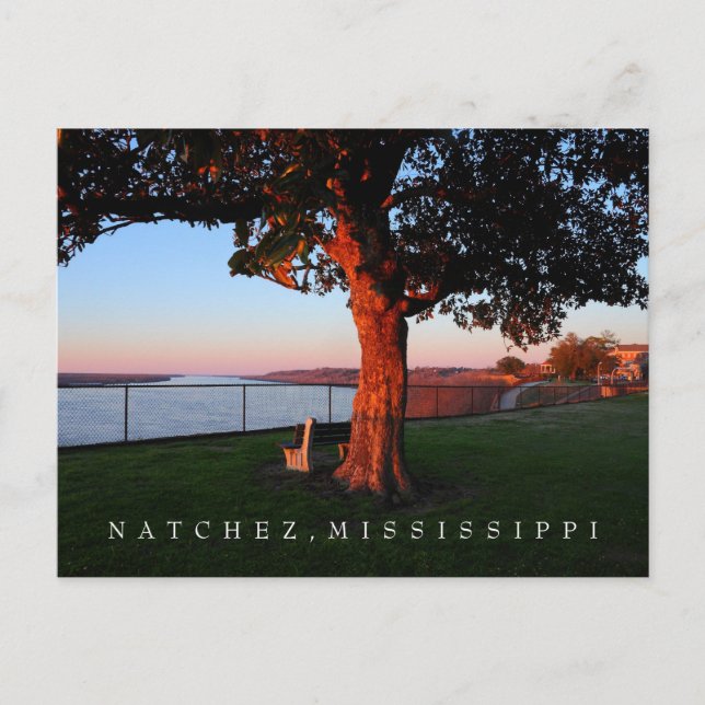 Postal Una época de recuerdo - Natchez, Mississippi (Anverso)