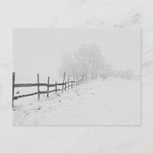 Postal Una escena de nieve en invierno