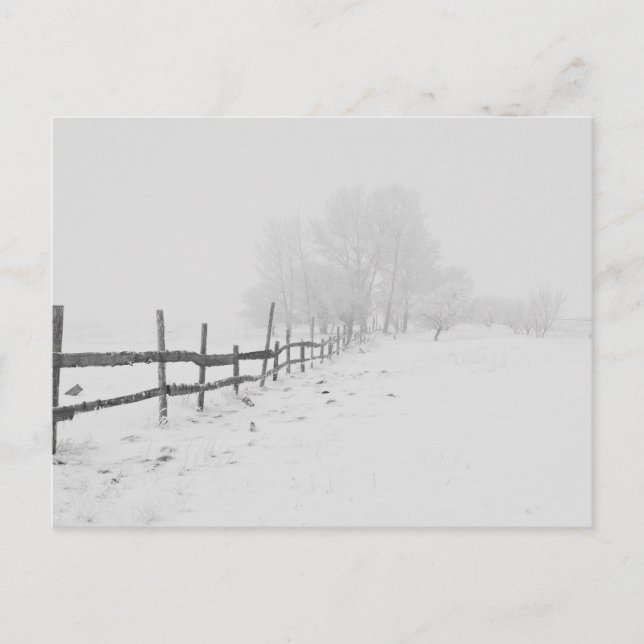 Postal Una escena de nieve en invierno (Anverso)