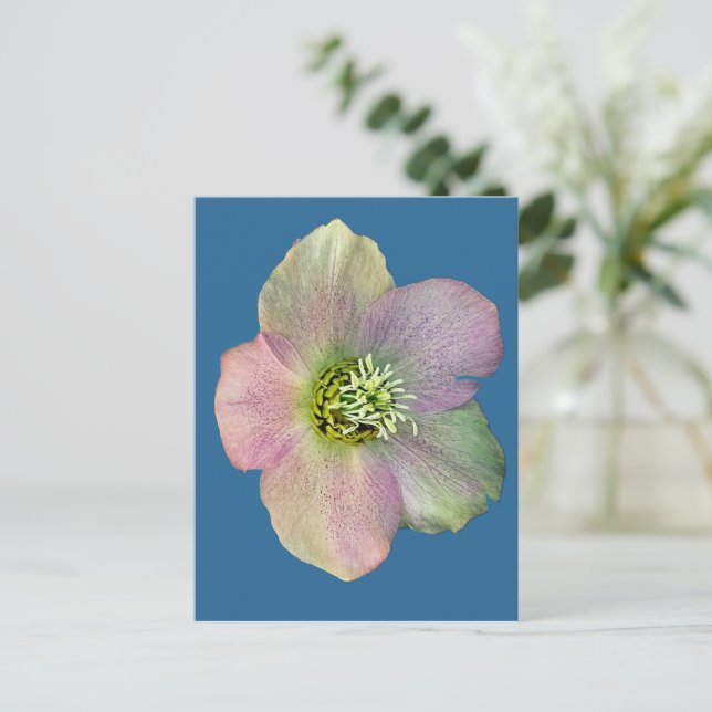 Postal Una flor (Anverso de pie)