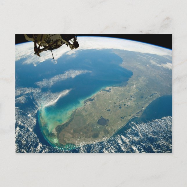 Postal Una Florida Oblíque, En La Costa Sureste (Anverso)