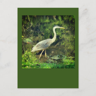 Postal Una garza azul
