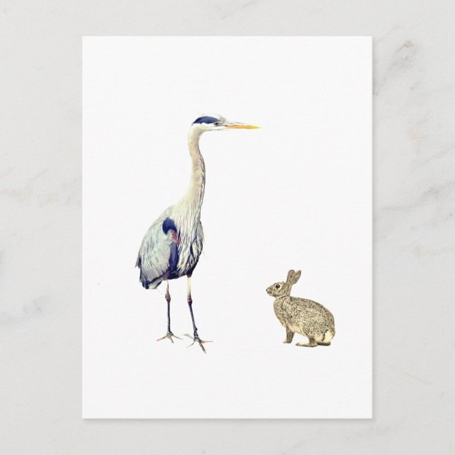 Postal Una garza azul y un conejo (Anverso)
