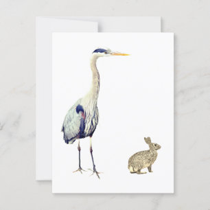 Postal Una garza azul y un conejo