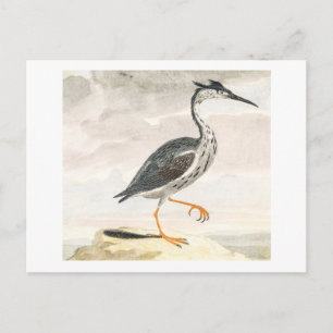 Postal Una garza por Johan Teyler Vintage Bird Art