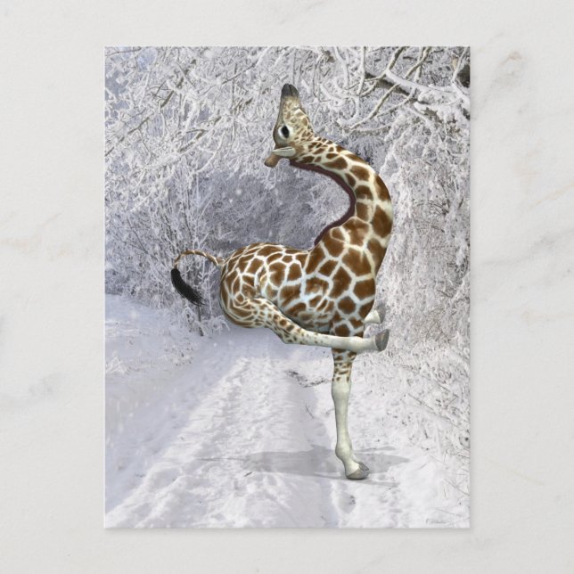 Postal Una Girafa Loca Jugando En Nieve (Anverso)