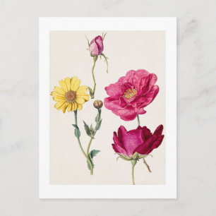 Postal Una hoja de estudios con rosas francesas y una mar