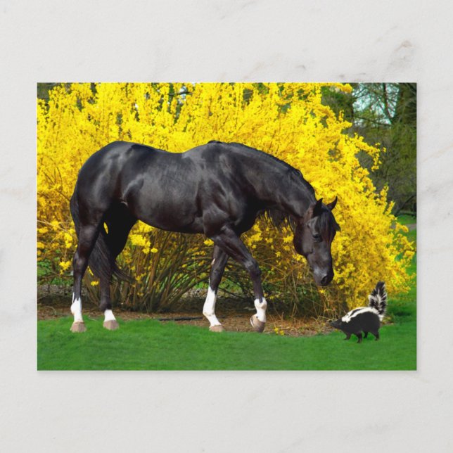 Postal "Una Idea Muy Mala" (Anverso)