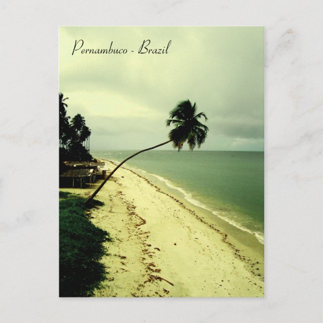 Postal Una isla. Pernambuco, Brasil (Anverso)