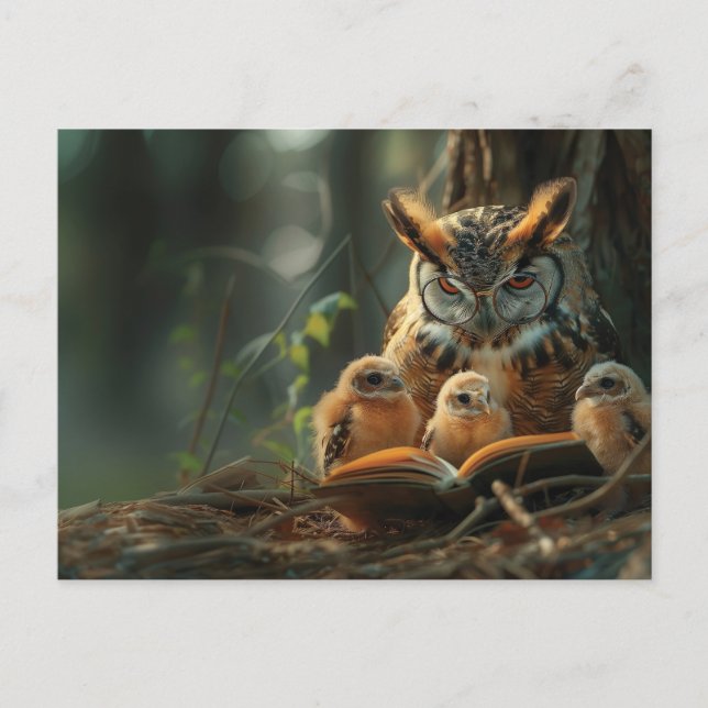 Postal Una lechuza leyendo un libro a pequeñas chicas (Anverso)