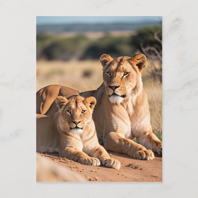 Postal Una leona con su cachorro (Anverso)