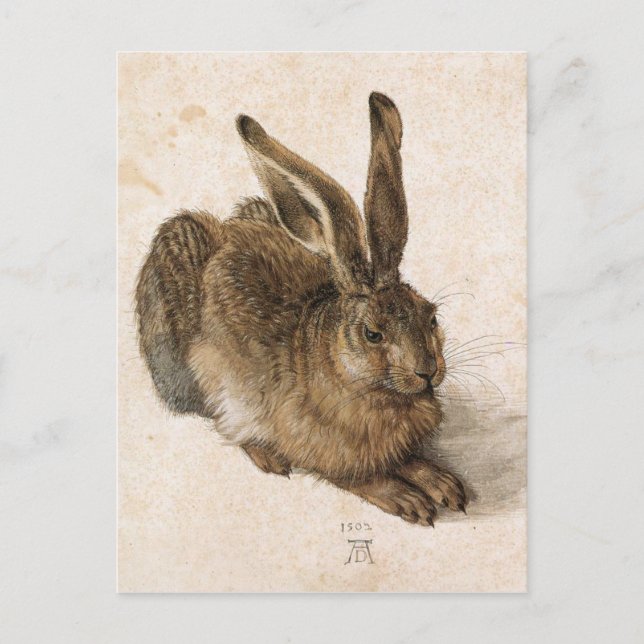 Postal Una liebre joven por Albrecht Durer (Anverso)