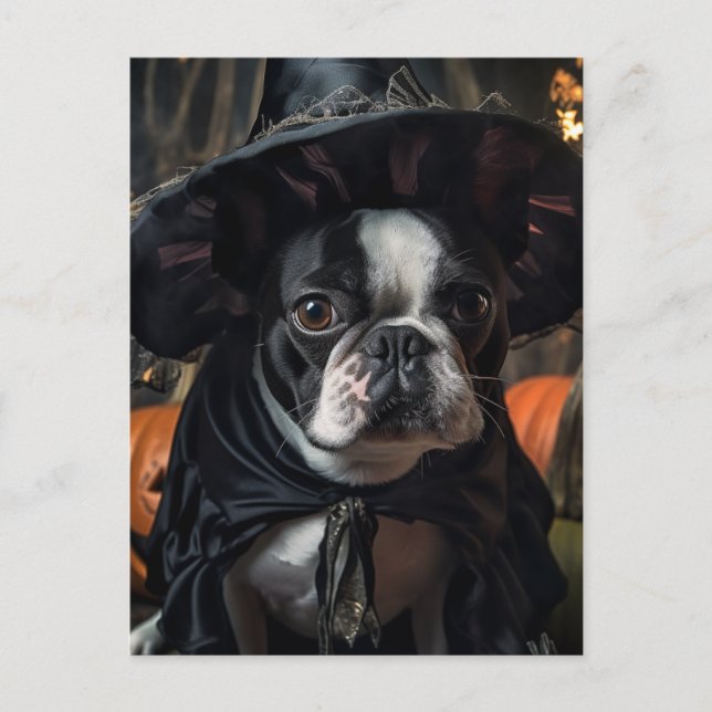 Postal Una linda bruja de Halloween de Boston Terrier (Anverso)