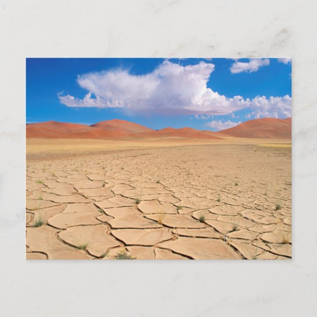 Postal Una llanura desértica agrietada (Anverso)