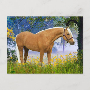 Postal "Una mañana sabrosa" 