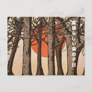 Postal Una maravillosa puesta de sol en el bosque