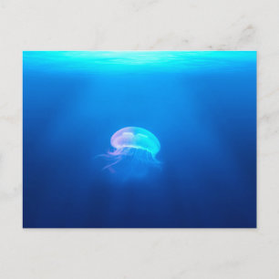 Postal Una medusa
