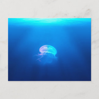 Postal Una medusa