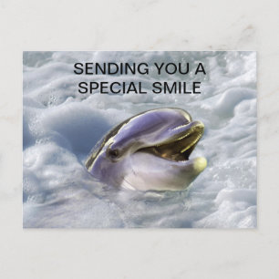 Postal Una mejor sonrisa para los delfines