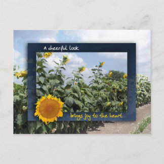 Postal Una mirada alegre trae alegría