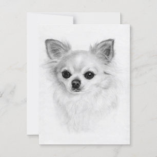 Postal Una mirada amable - Arte Chihuahua pintado a mano