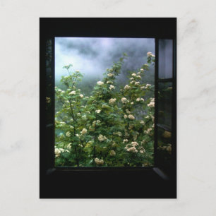 POSTAL UNA MUJER ENAMORADA