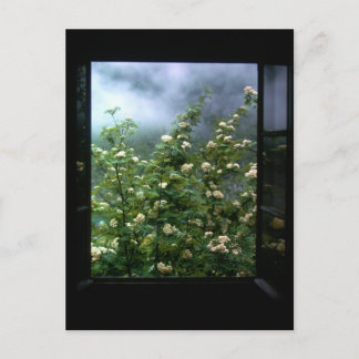 POSTAL UNA MUJER ENAMORADA