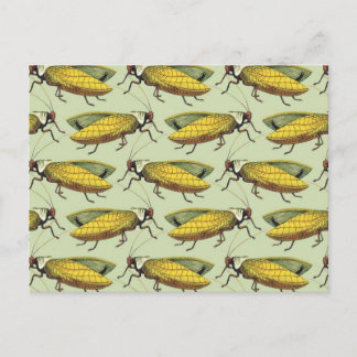 Postal Una multitud de katidos