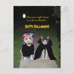 Postal Una noche está bien hacer PROWL