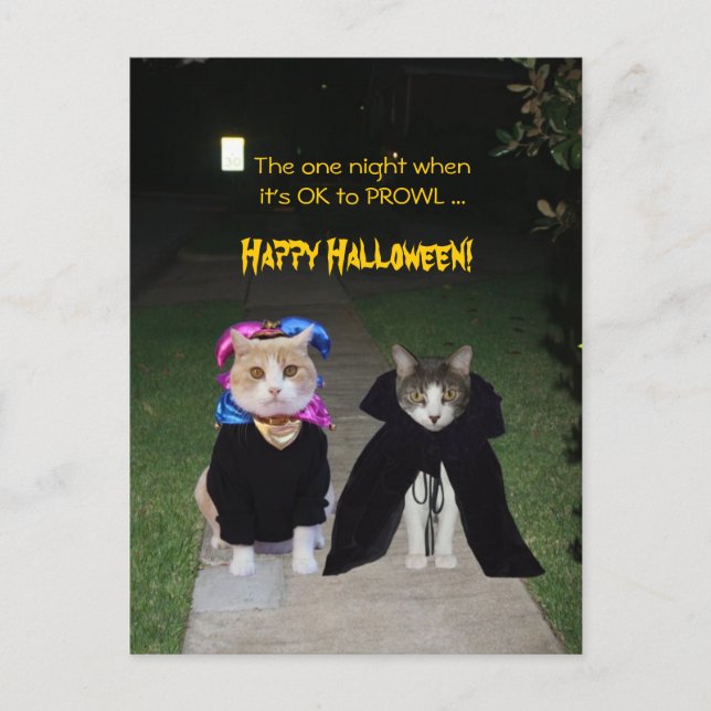 Postal Una noche está bien hacer PROWL (Anverso)