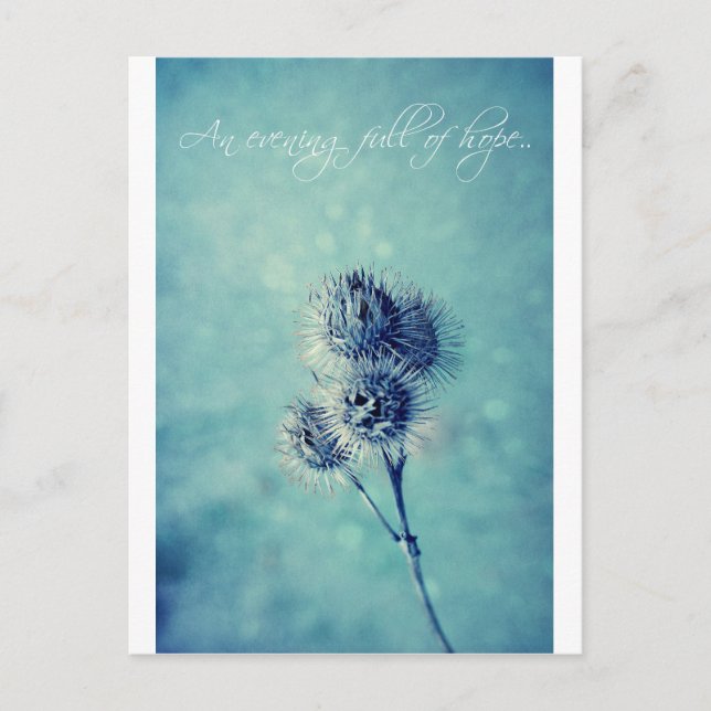 Postal Una noche llena de esperanza. (Anverso)