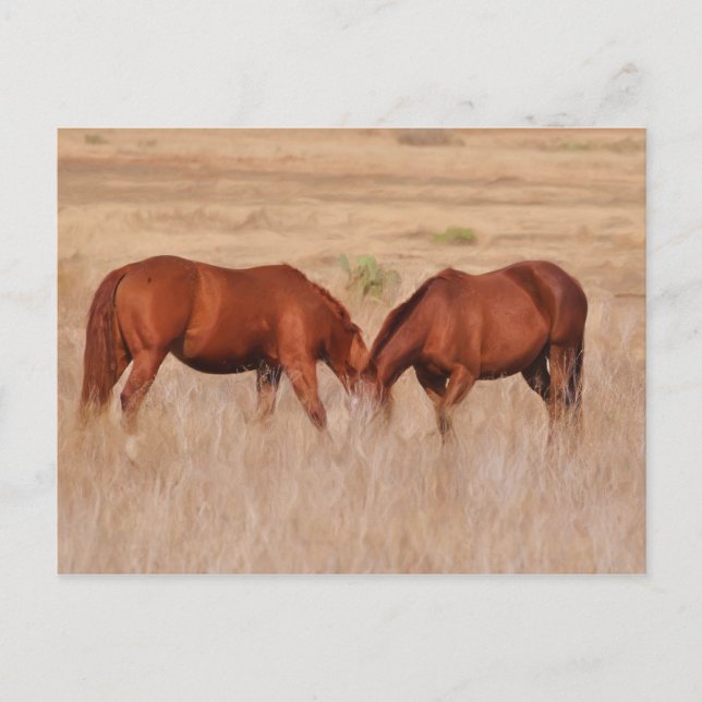 Postal Una o dos cabezas (Anverso)