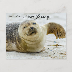 Postal Una ola y un guiño de una foca en Nueva Jersey