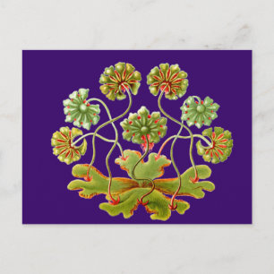 Postal Una orina de hígado