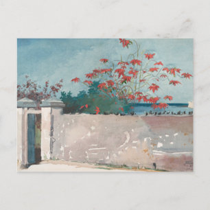 Postal Una pared, Nassau de Winslow Homer