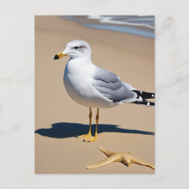 Postal Una pequeña gaviota en una playa de bonito rodeada